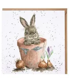 Wrendale - 'The Flower pot' - Kort - HAVE & BOLIG