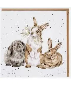 Wrendale - 'All Ears' Kort - Wrendale Designs